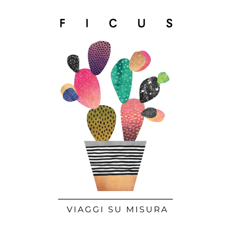 Ficus – Viaggi su misura